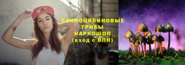бошки Алексин