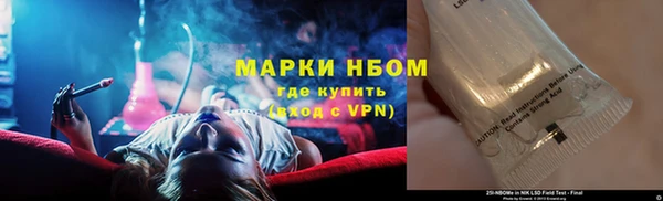 бошки Алексин