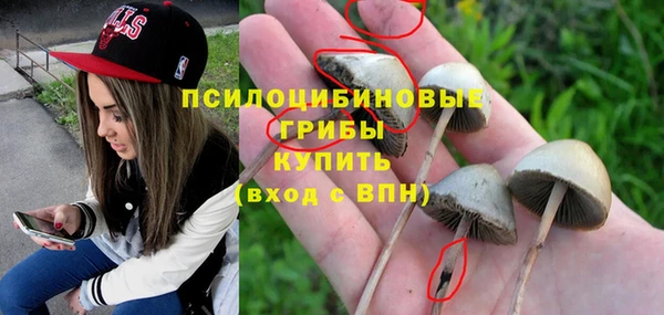 метадон Алексеевка