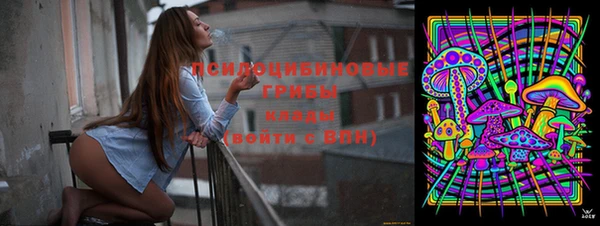метадон Алексеевка